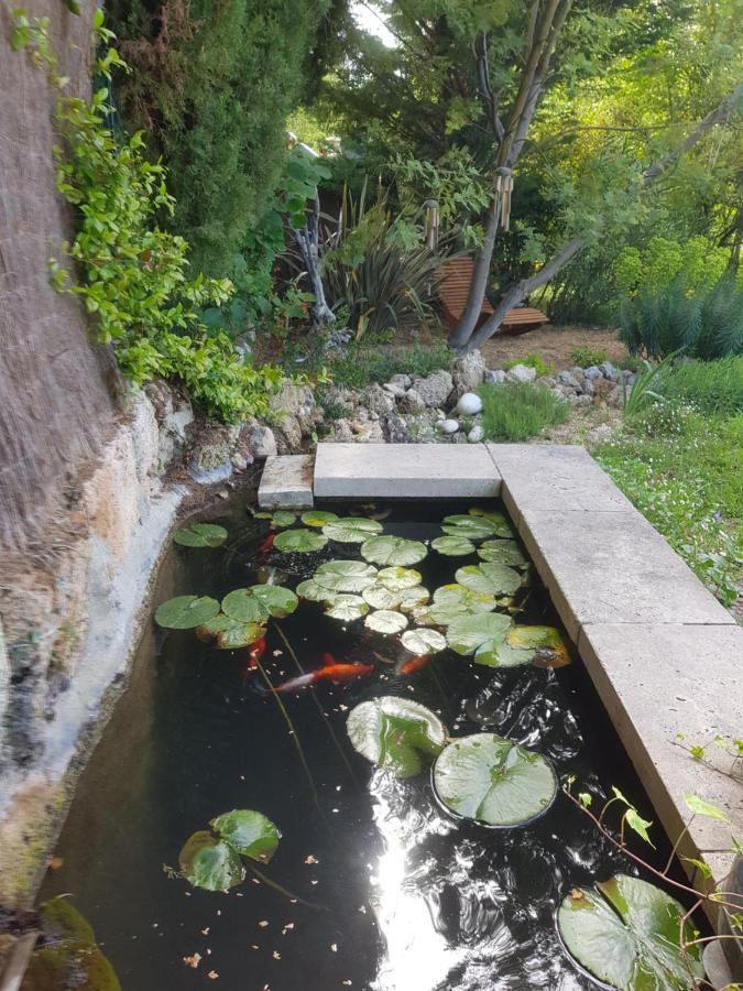 Maison Mimosa Salernes Zewnętrze zdjęcie