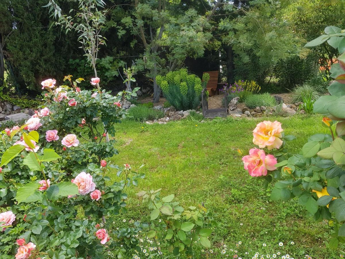Maison Mimosa Salernes Zewnętrze zdjęcie